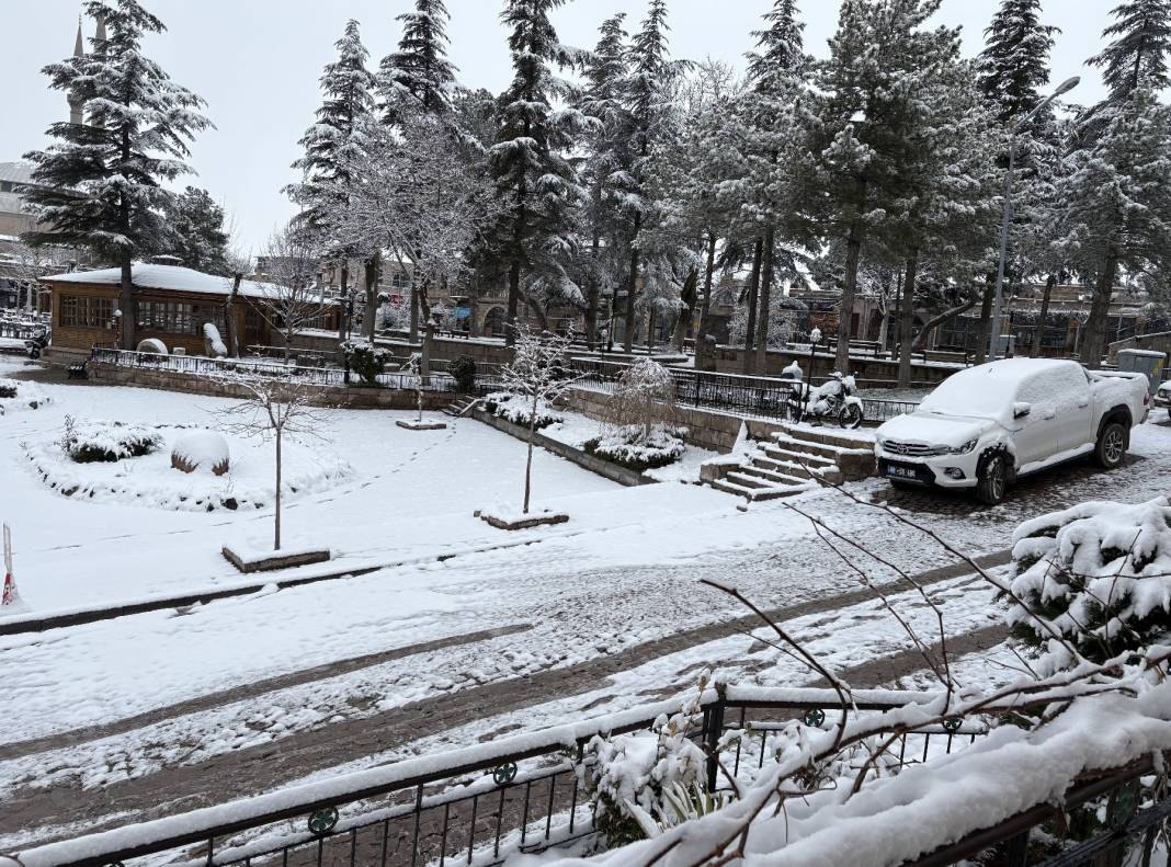 Vatandaş hem sevindi, hem üzüldü! Aksaray'da çiçek açan ağaçlar beyaza büründü 6